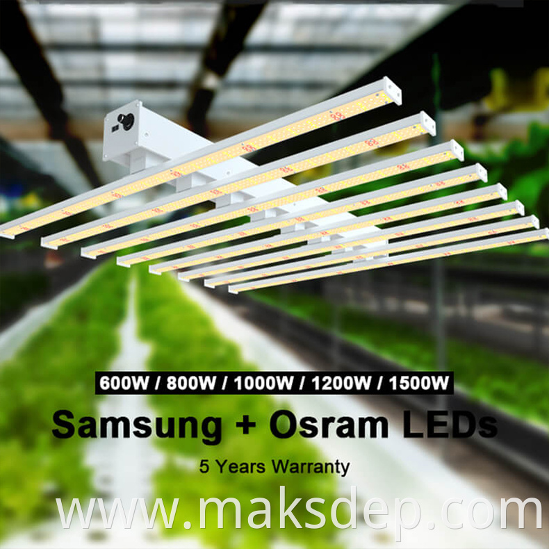 led grow lights bangkok